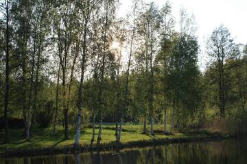 Фото номера Коттедж с видом на озеро Дома для отпуска Cottage Baydar г. Jyräänkoski 24